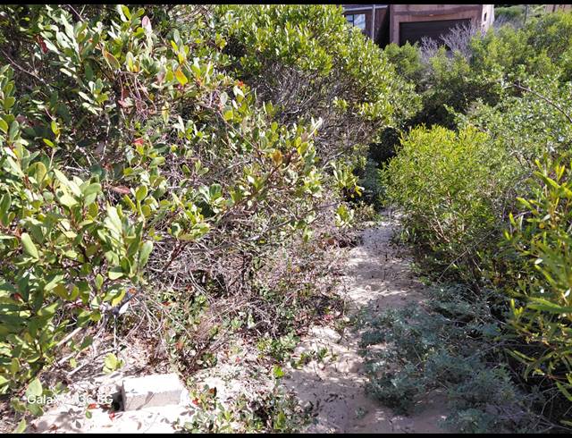 851M² VACANT LAND FOR SALE IN PARADISE BEACH
